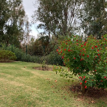 Sitio de CalahondaThe Golden House, Calahonda Golf公寓 外观 照片